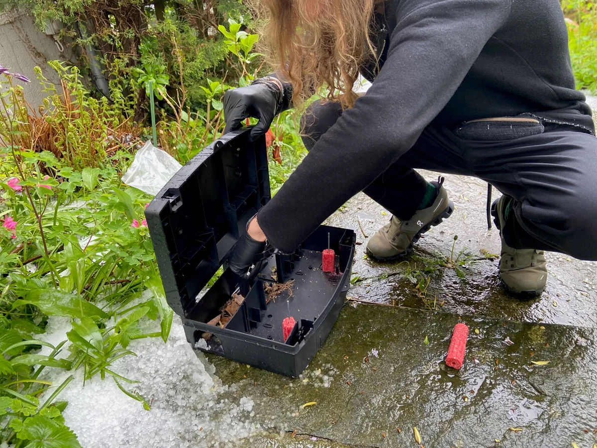 Die Köderbox ist jetzt offen, man sieht kleine rote Blöcke.